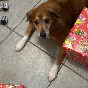 Meet your Posher, Valeria